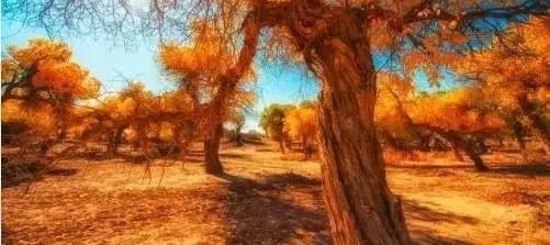 ��˵����������66�Ź�· �������й���·�걬��
