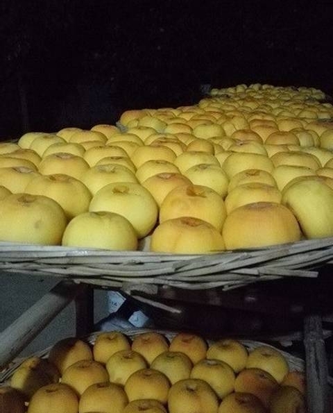 Ը�����ߢ���������ӹ�ӭ�������
