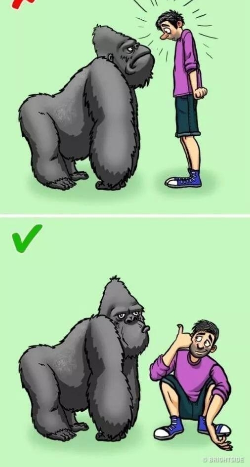 ���ܣ���Ұ�޹�����ô������