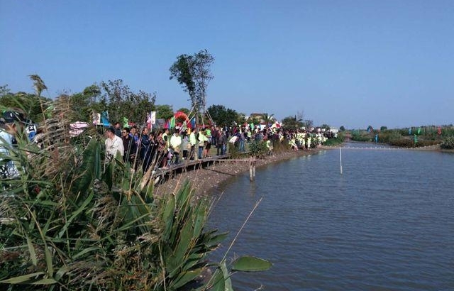 宝山罗泾:捕蟹大赛今开场 一分钟赤手空拳捞54只蟹