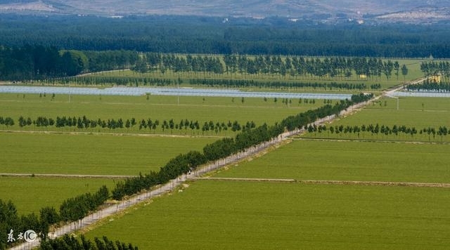 δ���ļ��꣬ũ�����������䵽˭���ֵ������ũ����