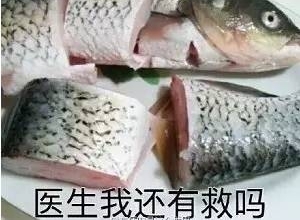 ȥ����ʥ�ڱ����С������������ ����:����̫��ǿ