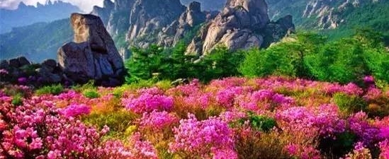 ����Ǵ�˵�еġ��ൺ�����������ൺ����һ��ȫ֪����