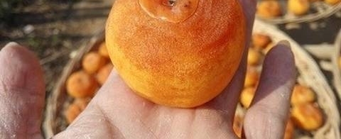 Ը�����ߢ���������ӹ�ӭ�������