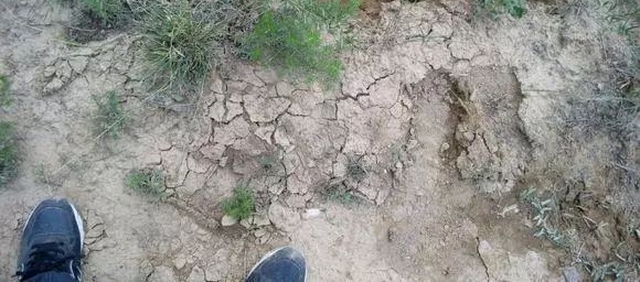 ũ������������ֶ���������ܲ��˸����������