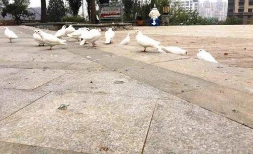 �賿5���ļ�������ǣ�ԭ����ů��δ�뿪��