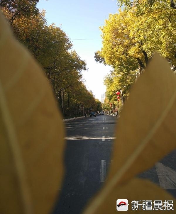 ��³ľ��ʮ���ﾰ������·��ȥ��������̫������