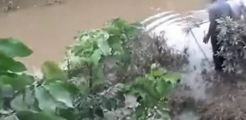 ũ�常��ȥ�ӱߵ���, ���������������, �ŵ��ȶ�����