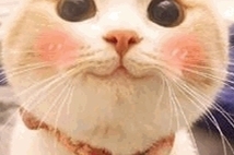 �������ã���Ѯ����Ϊ����վ���δ����� ů��˲�������������