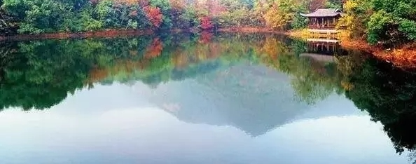 �ž��������������� �����˳�ȥ���߰�