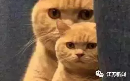 ��ֱ����!��������;������һƳ ���ϳ�һ���ӷ�