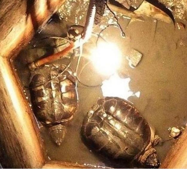 ���治�У�����֮�꣬����30����ž��׾�����ֻ������޹ꡱ