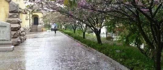 ����Ǵ�˵�еġ��ൺ�����������ൺ����һ��ȫ֪����