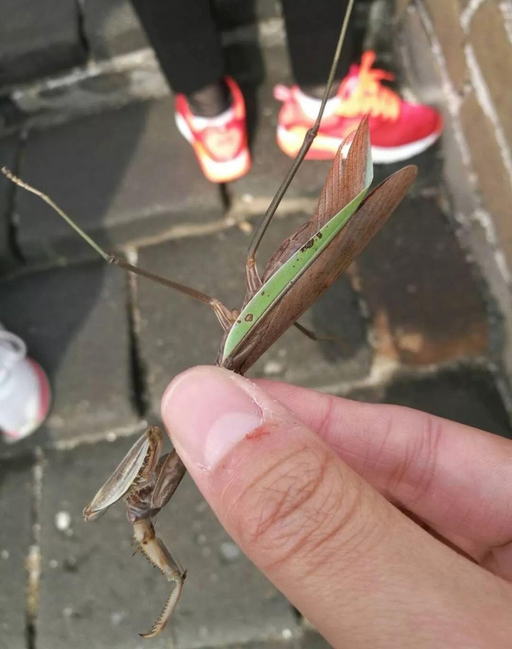 中科院物理所的死忠脑残粉才会点开……