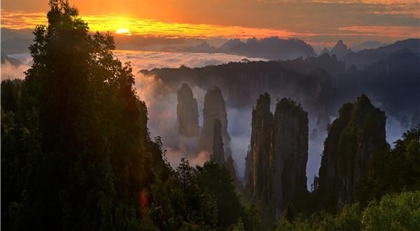 �żҽ�����С��ʿ������ע�����
