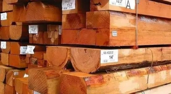 ���ں�ľè��࣬һ����Ȼ����20����