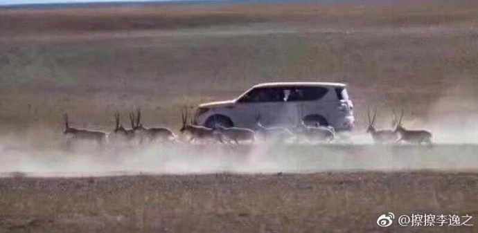����ԽҰ��׷������� ������ҵ���������ѽ������