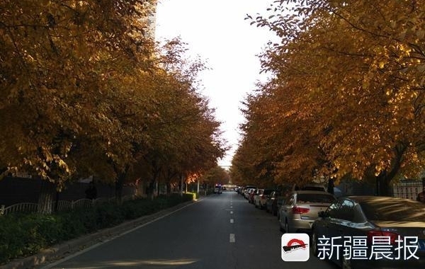 ��³ľ��ʮ���ﾰ������·��ȥ��������̫������