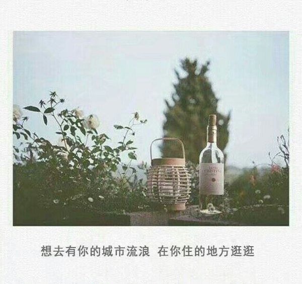 ңԶө ʤд˵.
