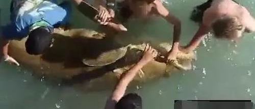 ���ӵ���ȴ��������ˮ�����û�뵽����Ȼ��������ý��