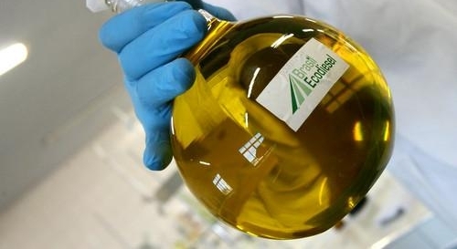 ��ý���й�̼�ŷ��г�����ŷ�ޣ�չʾȫ�����������쵼��