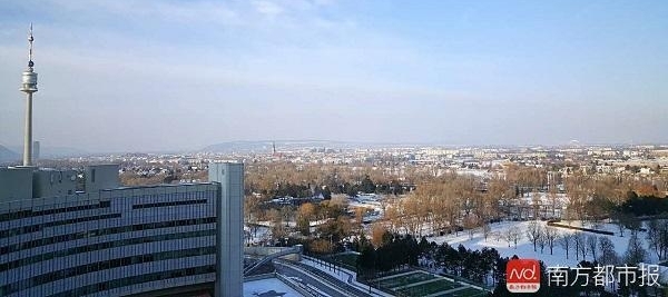 ��ţʵϰ�����أ������Ϲ��������ʹ���Ա������ʲô����