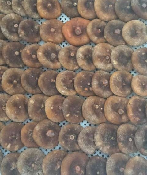 Ը�����ߢ���������ӹ�ӭ�������