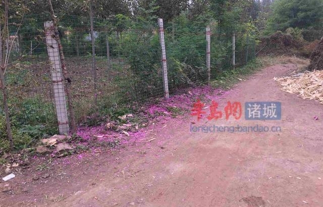 诸城新娘不见30万不上车 新郎空车而归 记者探访结果竟然是…