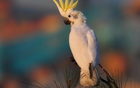 ������Ա����ʱ���ְ������۾������Լ�������һ���ǳ���ŭ