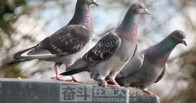 �ڵ��ڣ�����̫�࣬�ŵ����ӷ�㵼�������ж�����