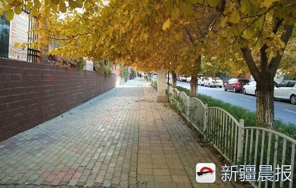 ��³ľ��ʮ���ﾰ������·��ȥ��������̫������