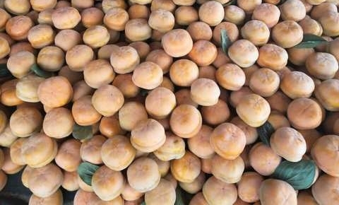 Ը�����ߢ���������ӹ�ӭ�������