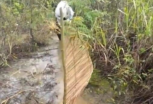 �������Ʋ������� ��һĻ���ˣ�