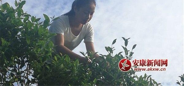����Ů��8�����չ�̱��ĸ�� ����Ϊȫ��Т������