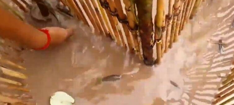 �������Ʋ������� ��һĻ���ˣ�