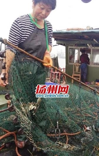 �������ݶ�Ұ����з���� ����һ����4������45ֻз