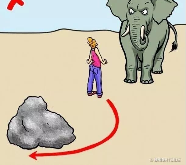 ���ܣ���Ұ�޹�����ô������