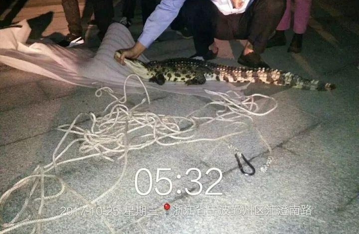 �������������ﾪ�����㣬˭�ҵģ�