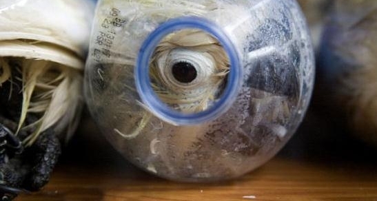 ������Ա����ʱ���ְ������۾������Լ�������һ���ǳ���ŭ