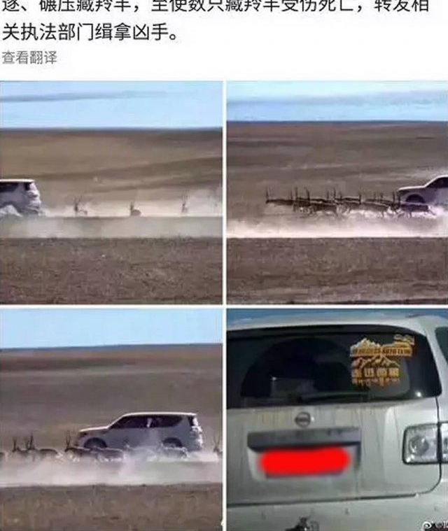 求求你们千万别去西藏了!!!