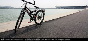 献给骑手们,那些永远的自由和冒险