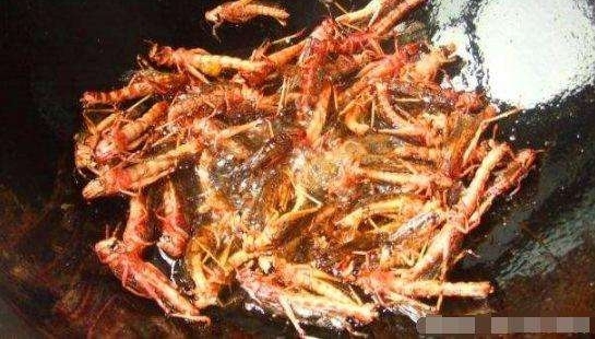ũ���ү�����������ֻ�ɵĲ�, һ����20Ԫ, �ö��˲��ҳ�