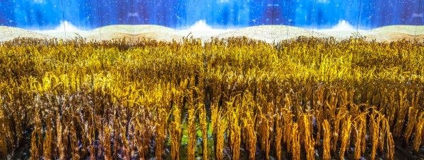 ������¼�������չ��Ļ ��ע����������������Ը��