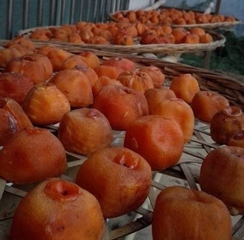 Ը�����ߢ���������ӹ�ӭ�������