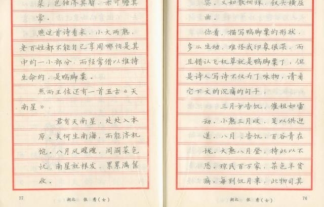 1985年中国钢笔书法大赛,五位特等奖得主书法作品欣赏