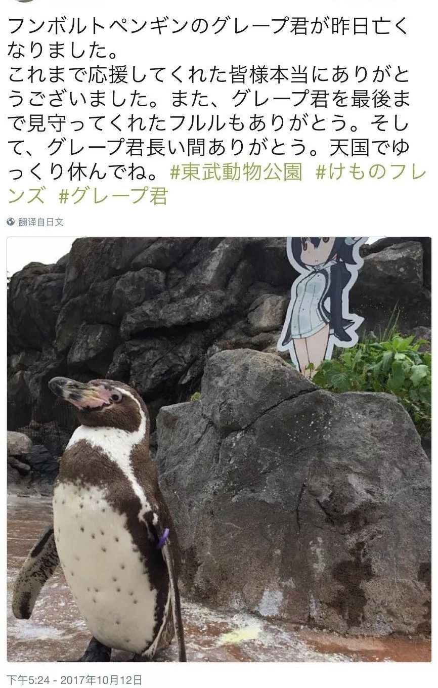 ��û������������뿪���������������ģ�