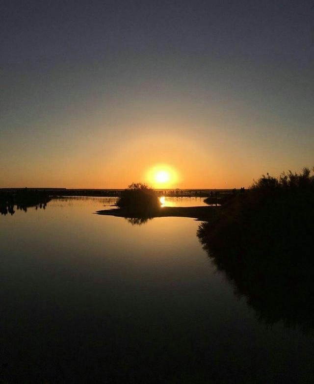 һ�ж�����õİ��ţ������׸���ĸ�Ľ��֮��