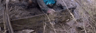 ��������ץ�㣬һ�������ƿ�һ����ľ�壬���¼�������