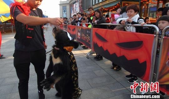 Ⱥ�ޡ�������ӭ��ʥ ������Ȥ����������