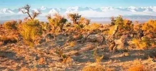 ��˵����������66�Ź�· �������й���·�걬��